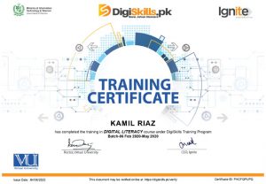 DSTP Certificate Digital Literacy