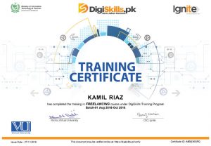 DSTP Certificate Freelancing